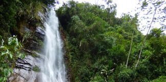 Conectar al Suroeste con la naturaleza Cascada Cola de Caballo, Farallones, C. Bolívar - Ant. © Rafael Uribe - Bioexploradores Farallones