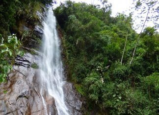 Cascada Cola de Caballo, Farallones, C. Bolívar - Ant. © Rafael Uribe - Bioexploradores Farallones