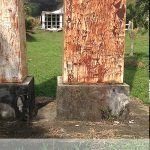 Un homenaje inconcluso a Gonzalo Arango gonzalo_arango.jpg