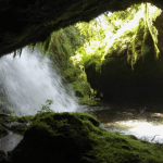Corantioquia invita a proteger el patrimonio ambiental del departamento guacharos.png