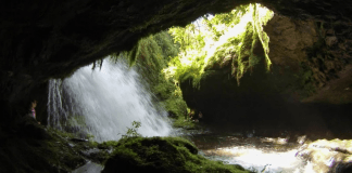 Corantioquia invita a proteger el patrimonio ambiental del departamento guacharos.png