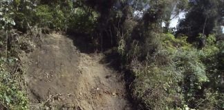 Un deslizamiento en Fredonia afectó una vivienda img_0725.jpg