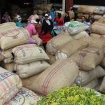 Suroeste: cosecha cafetera en 2016 plan_cosecha_1_-_digital.jpg