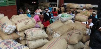 Suroeste: cosecha cafetera en 2016 plan_cosecha_1_-_digital.jpg