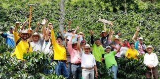 Jornada de investigación con productores de café Productores de café en Urrao. Foto Cortesía