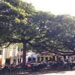 En Ciudad Bolívar: disfrute el Festival Folclórico Entre Culturas Ciudad Bolívar