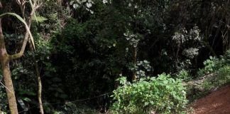 En Concordia: preocupación por daño en vía que puede afectar suministro de agua Concordia