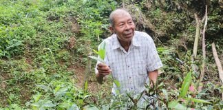 Resguardo indígena Hermeregildo Chakiama, en imágenes Jaibaná