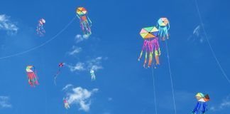 Recorrido por el Suroeste Festival de la cometa