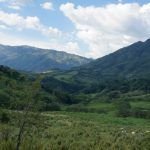 Diversidad de cultivos para mejorar la vida en el campo