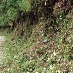 Así están las vías para este fin de semana