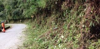 Así están las vías para este fin de semana