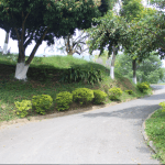 Estado de las vías para este puente festivo