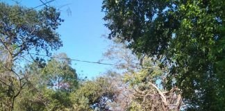 Tres muertos por accidentes de tránsito durante el puente festivo en el Suroeste