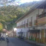 Fuera de peligro menores que consumieron semillas de la llamada ‘mata de culebra’