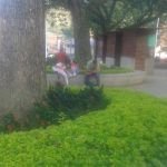 Restricción de movilidad para menores de edad en Salgar