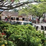 ‘Sembrando Cultura’, en el parque de Ciudad Bolívar