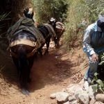 En Tarso: trabajo comunitario por los caminos veredales