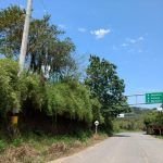 Conozca el estado de la red vial para este fin de semana