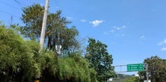 Conozca el estado de la red vial para este fin de semana