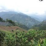 En lo que va corrido del año van 47 homicidios en el Suroeste