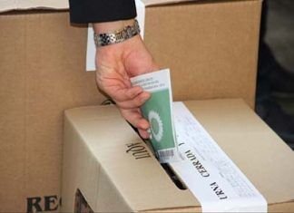 ¿Puede fundarse la democracia bajo la idea del voto castigo?