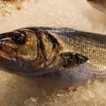 ¡Evite intoxicaciones! Asegúrese de que el pescado esté fresco