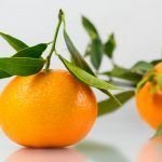 Cafés especiales, cítricos y turismo, apuestas de la Provincia Cartama