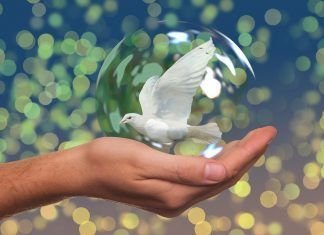 La Paz, palabra de moda