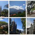 «¡El intercambio vial del café es una prioridad!»