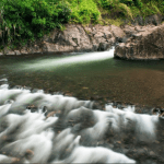 Proteger el ambiente ¡Sí paga!
