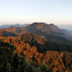 Antioquia tiene 675.767 hectáreas de áreas protegidas, la meta ¡Seguirlas protegiendo!