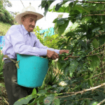 ¡102 años recolectando Café!