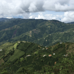 Microtráfico: flagelo del Suroeste antioqueño