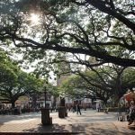 Feria de servicios para víctimas de Ciudad Bolívar