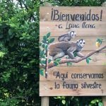 Café Luna llena: Palacio Verde para martejas y cafetales