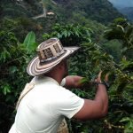 Fincas cafeteras del Suroeste se capacitan en turismo experiencial
