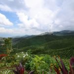 Editorial. 10 años, 23 municipios e incontables historias