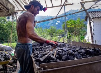 El ciclo del carbón