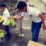La huerta escolar de la vereda El Zancudo