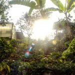 Cafeteros de Betania recibieron ayudas para sus cosechas