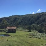 Dato del día – ¿Cuántas veredas hay en el Suroeste?