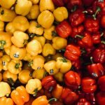 Un vegano en el Suroeste