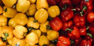 Un vegano en el Suroeste