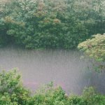 ¡Abril lluvias mil! Algunas recomendaciones para esta temporada invernal