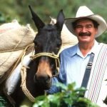 Dato del día – ¿Sabe en cuál municipio nació Carlos Sánchez, el primer cafetero en asumir el personaje de Juan Valdez?