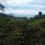 Usted puede aportar en la construcción del Plan de Gestión Ambiental Regional