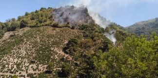 Incendios forestales en Salgar. Conozca las medidas para prevenirlos