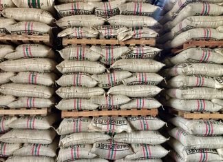 El desarrollo del campo agropecuario