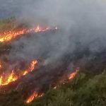21 incendios forestales en el Suroeste